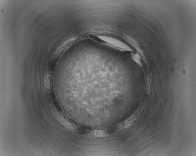 X0000085750114200703301412