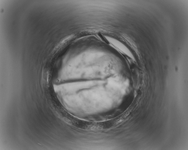 X0000085750115200703301412