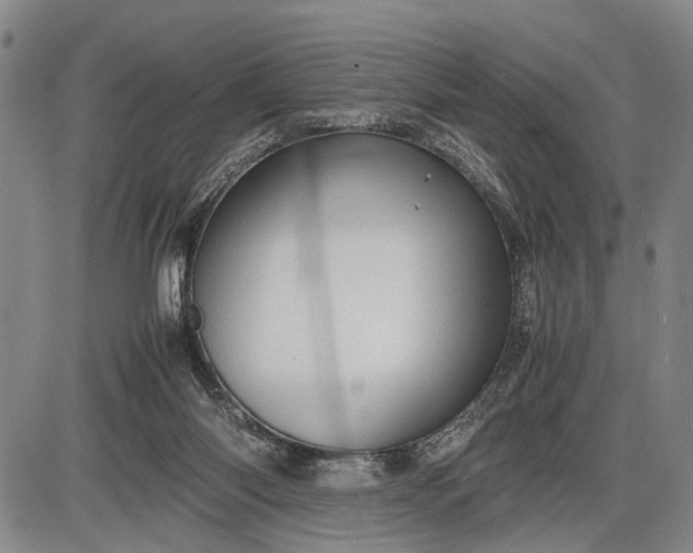 X0000085750118200703301412