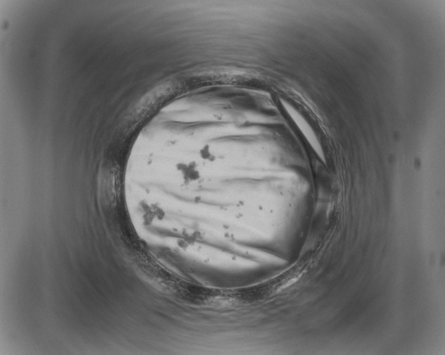 X0000085750119200703301412