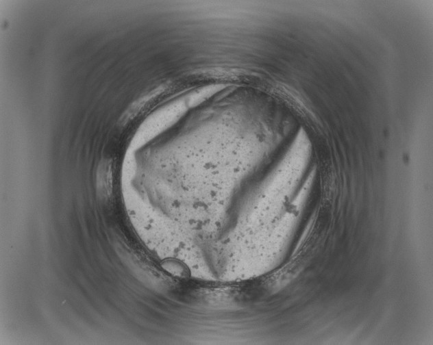 X0000085750120200703301412