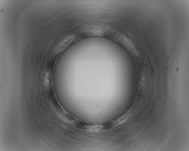 X0000085750122200703301412