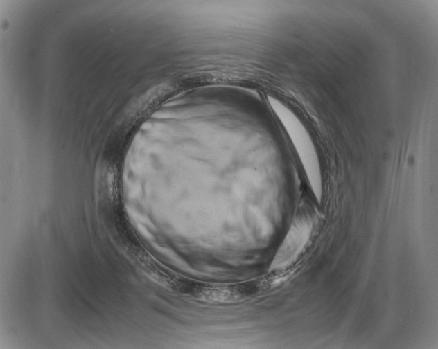 X0000085750123200703301412