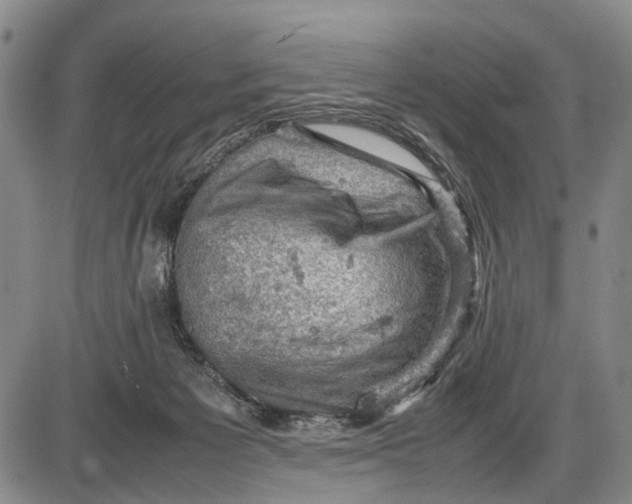 X0000085750125200703301412