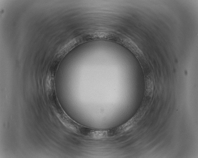 X0000085750126200703301412