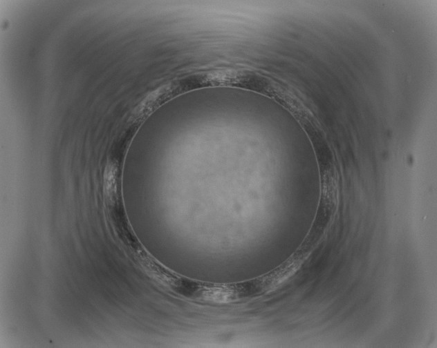 X0000085750127200703301412