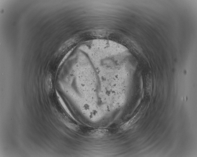 X0000085750128200703301412