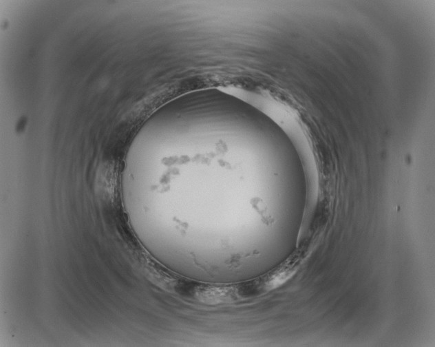 X0000085750129200703301412