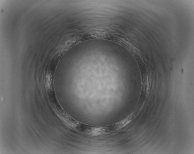 X0000085750130200703301412