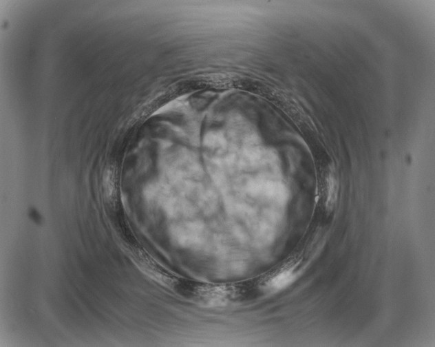 X0000085750131200703301412