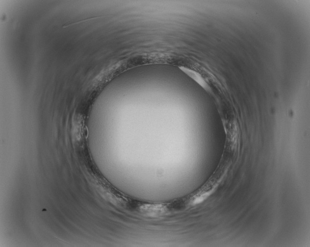 X0000085750133200703301412