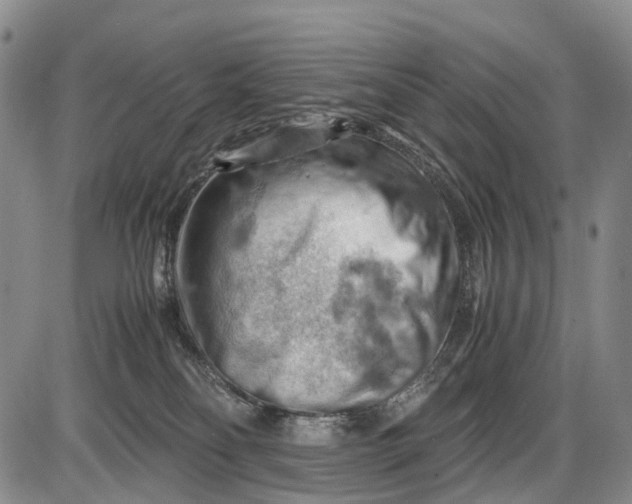 X0000085750134200703301412