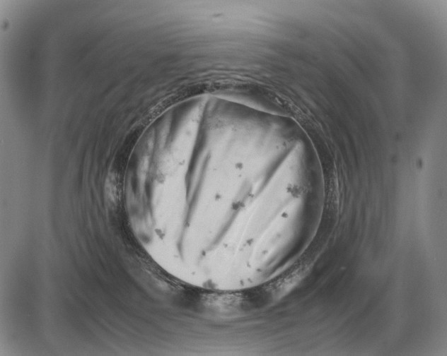 X0000085750135200703301412