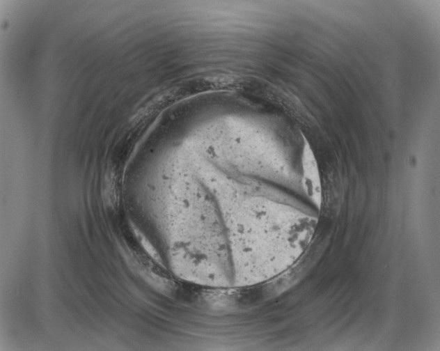 X0000085750136200703301412