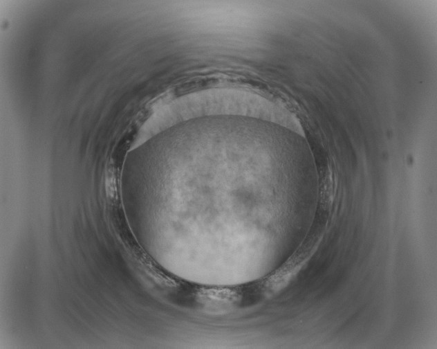 X0000085750137200703301412