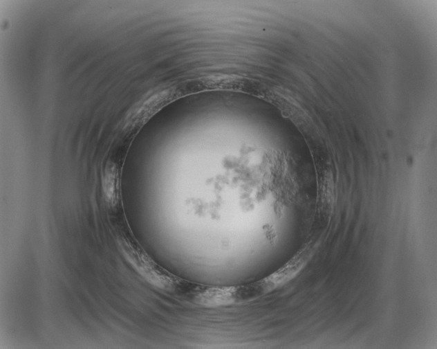 X0000085750138200703301412