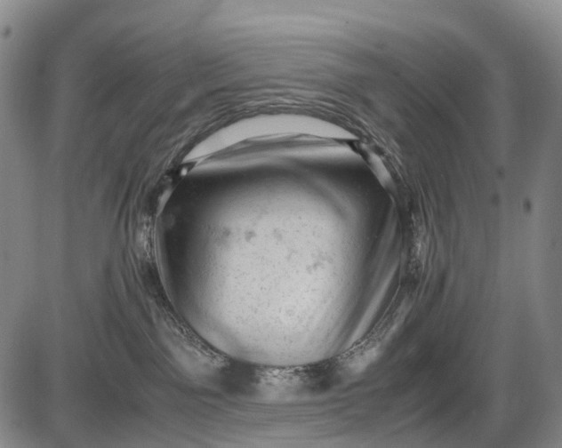 X0000085750141200703301412