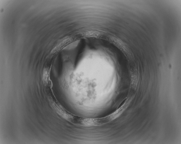 X0000085750142200703301412