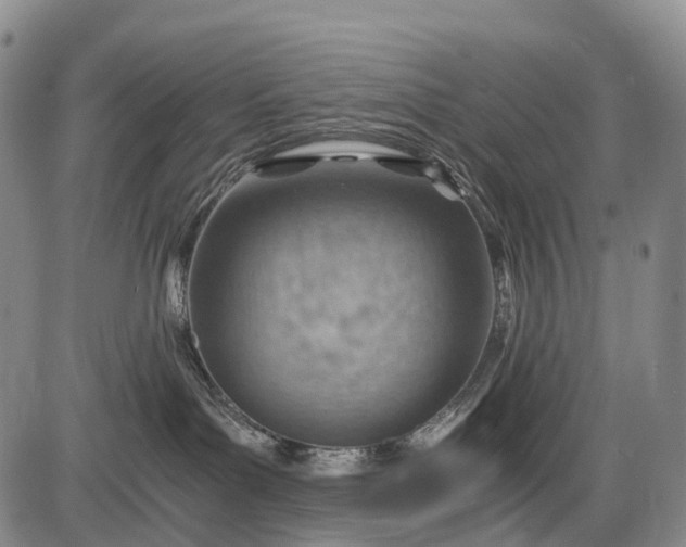 X0000085750143200703301412