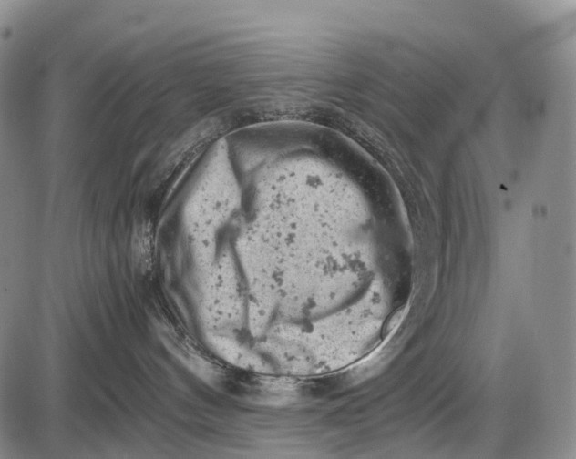 X0000085750144200703301412