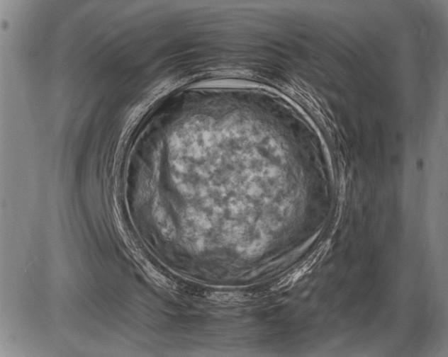 X0000085750145200703301411