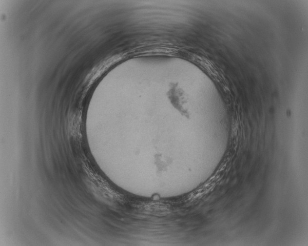 X0000085750146200703301411