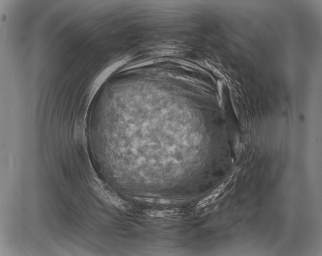 X0000085750147200703301411