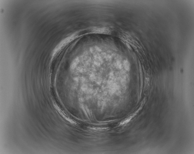 X0000085750149200703301411