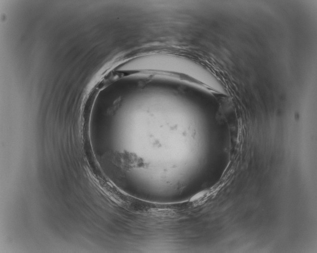 X0000085750150200703301411