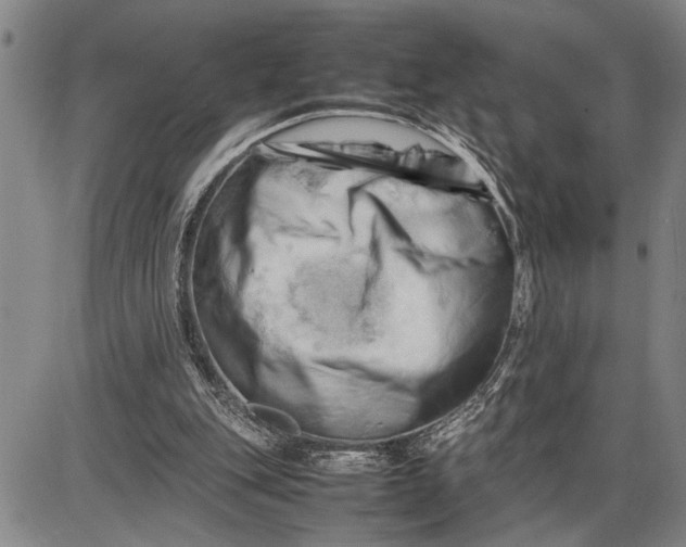 X0000085750151200703301411