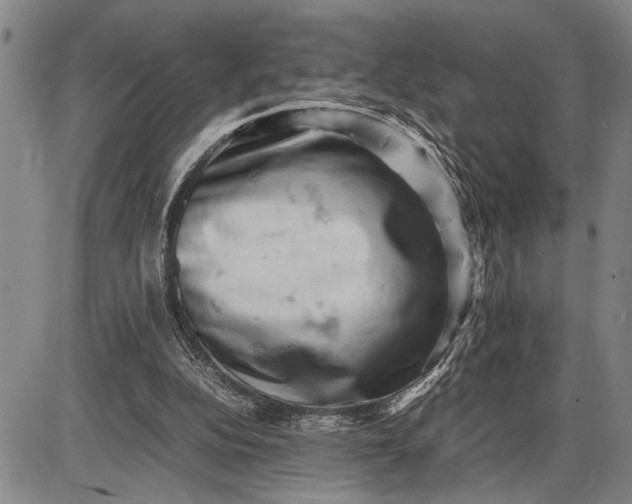 X0000085750152200703301411