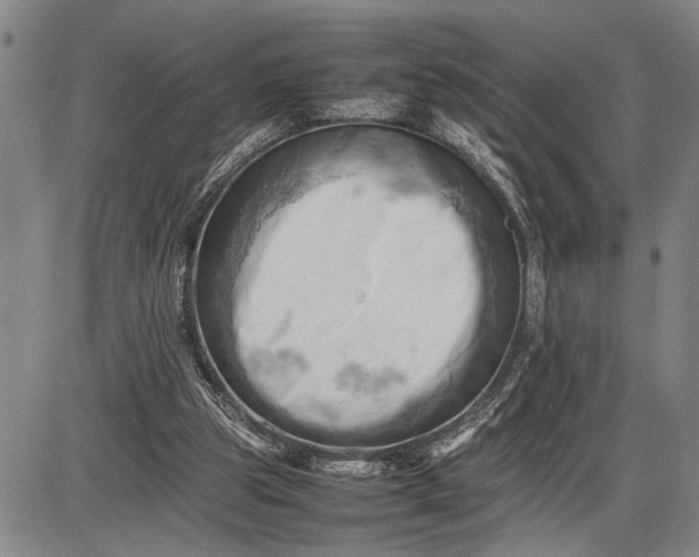 X0000085750153200703301411