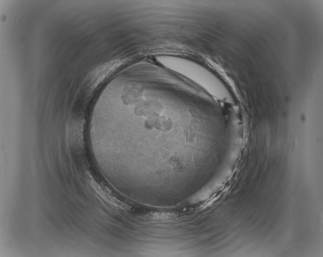 X0000085750154200703301411