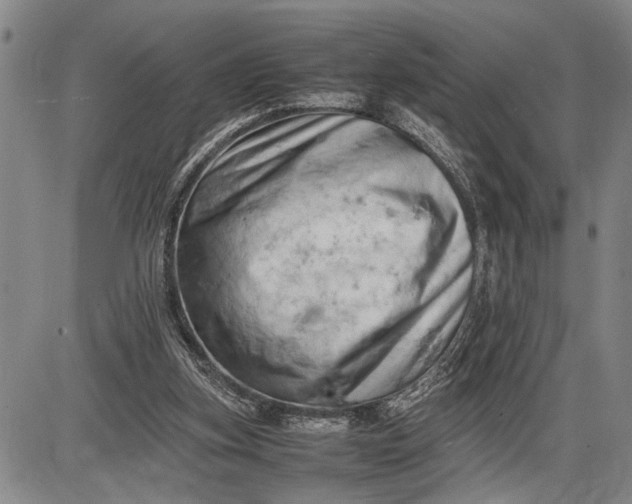 X0000085750155200703301411