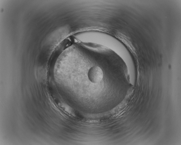 X0000085750156200703301411