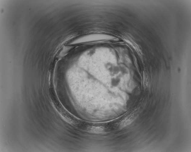 X0000085750157200703301411