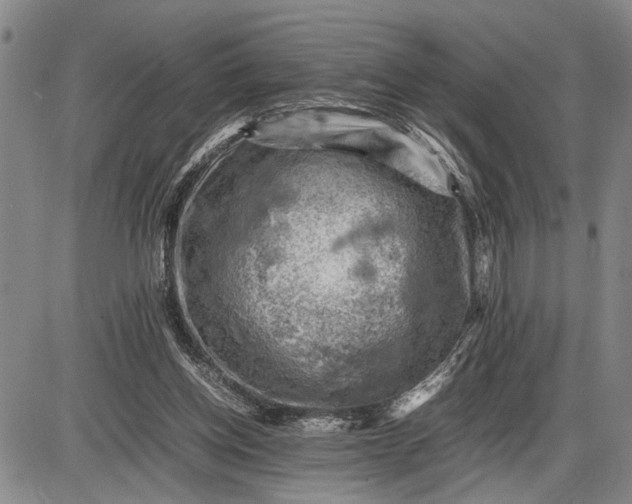 X0000085750158200703301411