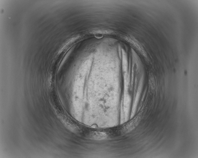 X0000085750159200703301411