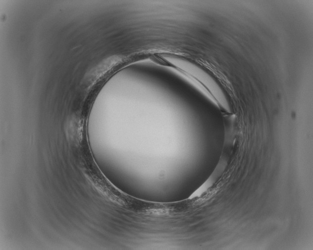 X0000085750160200703301411