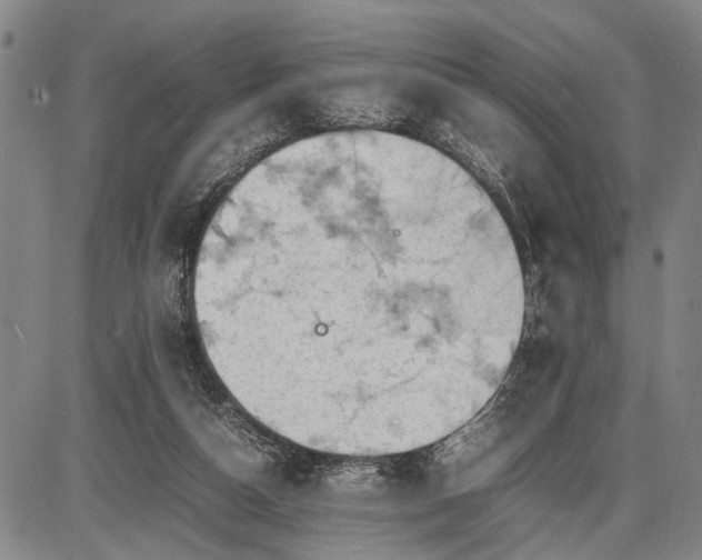 X0000085750162200703301411