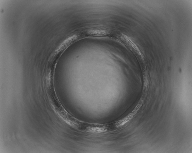 X0000085750163200703301411