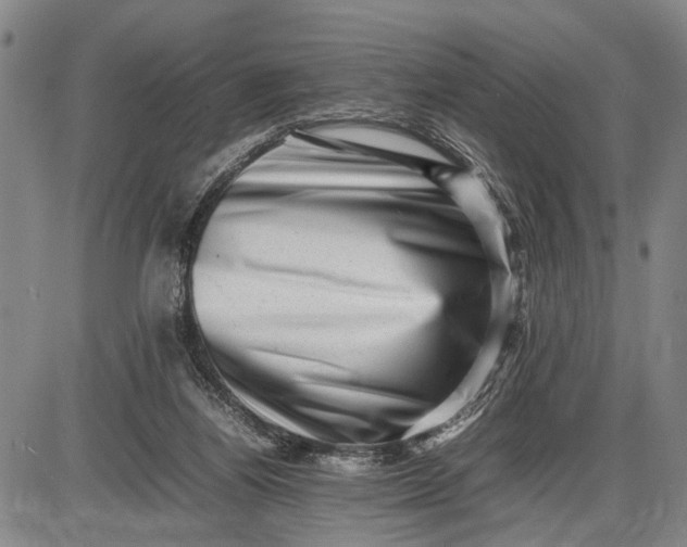 X0000085750164200703301411