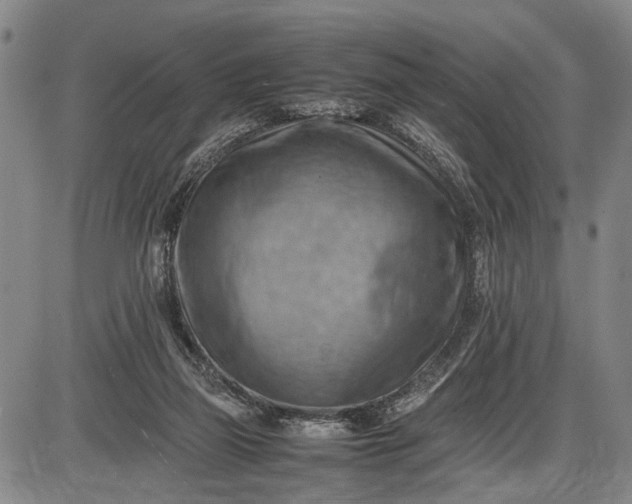 X0000085750165200703301411