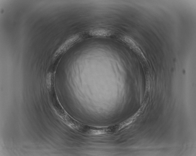 X0000085750167200703301411