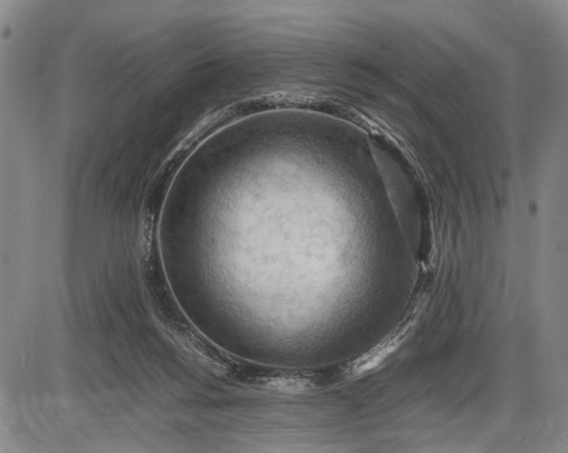 X0000085750168200703301411