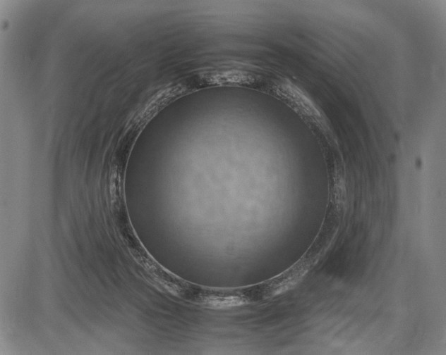 X0000085750169200703301411