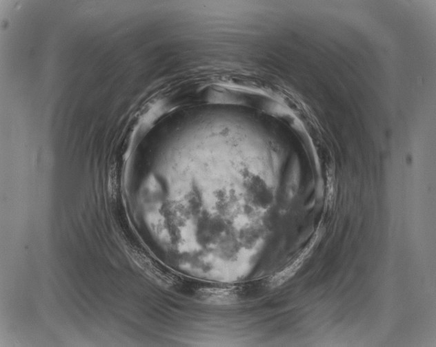 X0000085750170200703301411