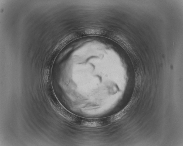 X0000085750171200703301411