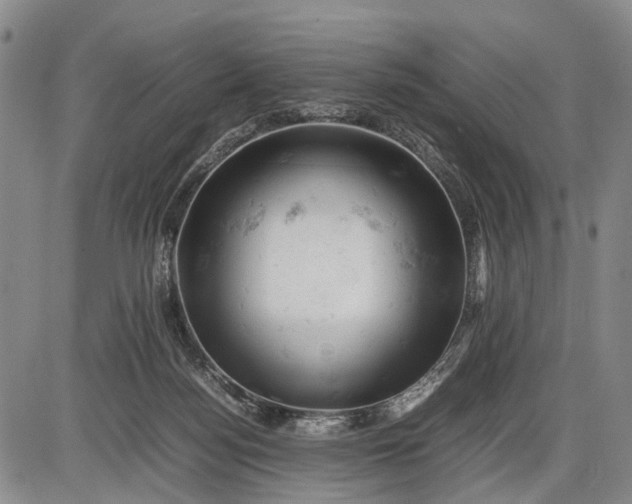 X0000085750172200703301411