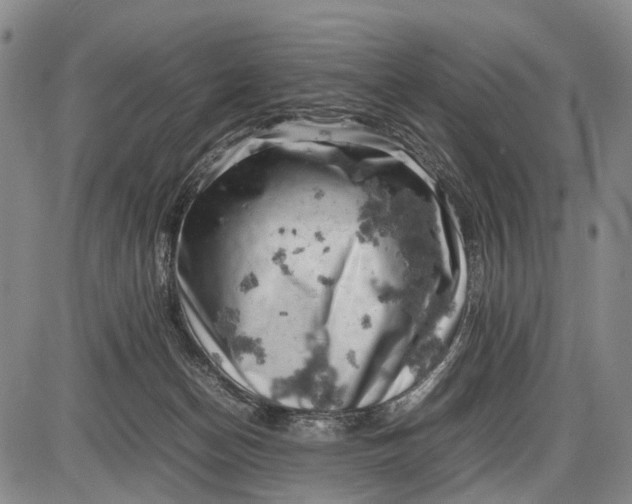 X0000085750174200703301411